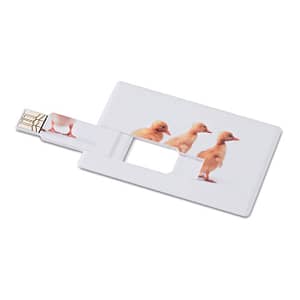 Creditcard. USB flash 4GB