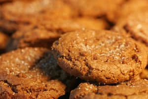Glutenvrije koekjes Middelburg