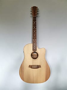 Cole Clark FL2ec-BB