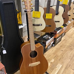 Prototype Cole Clark FL2ec RDBL