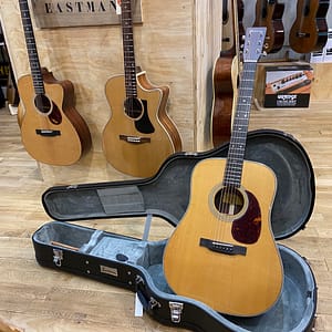 Eastman E8D-tc