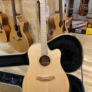 Cole Clark FL2ec BB