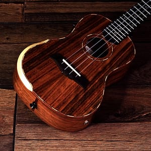 B&M concert ukulele BM 5ce