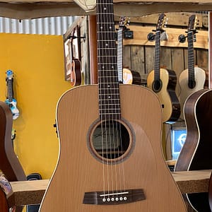 Kremona F10CE met Fishman pick-up