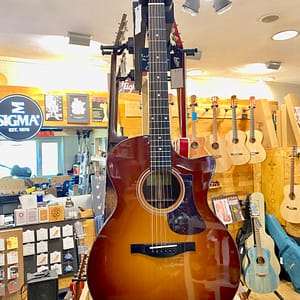 Eastman AC222CE-DLX-GB