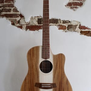 Cole Clark FL2ec-blbl