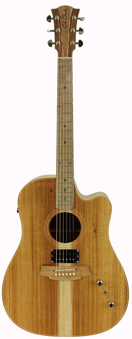 Cole Clark FL2EC-BLBL-HUM - Afbeelding 8