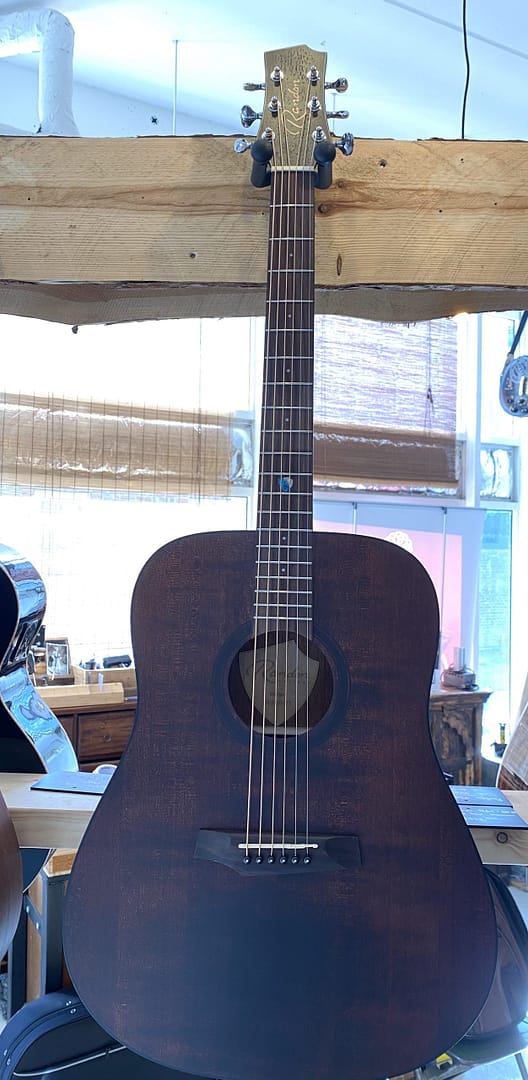 Randon RGI-10-vt dreadnought gitaar