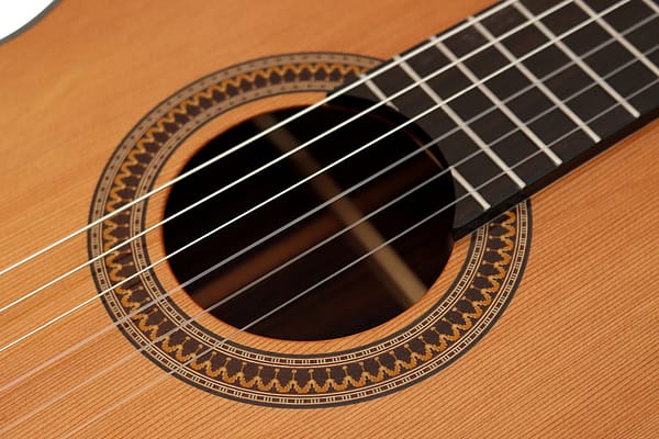 Sulayr Lattice ceder cutaway - Afbeelding 5