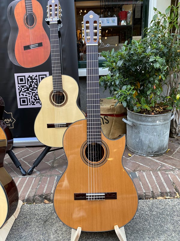 Sulayr lattice ceder cutaway