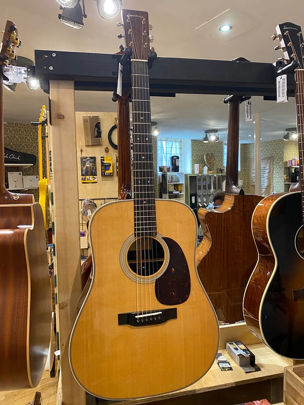 Eastman E8D-tc