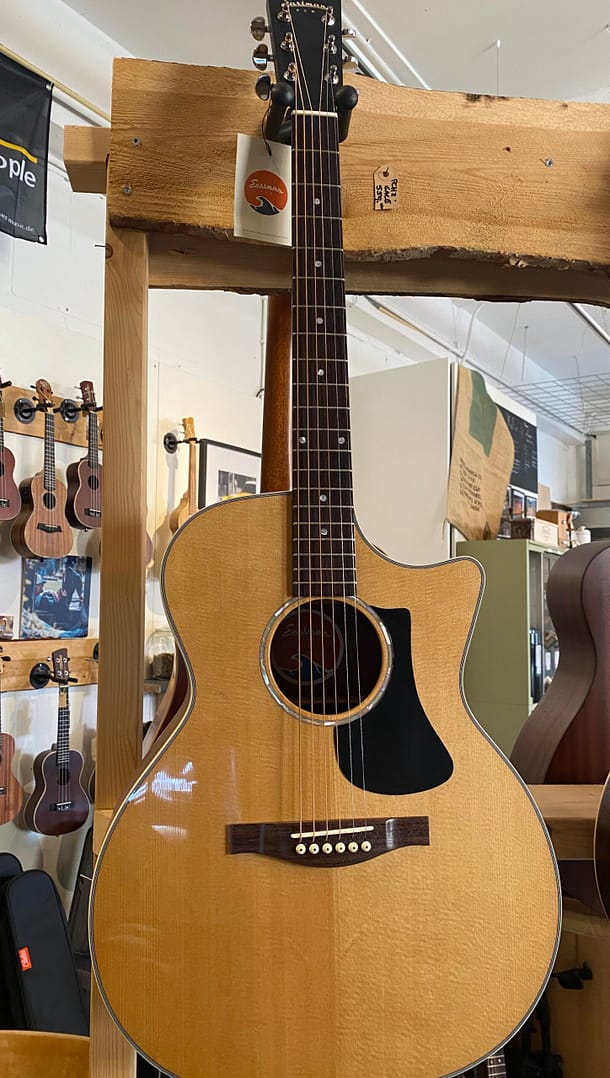 Eastman PCH2-GACE - Afbeelding 2