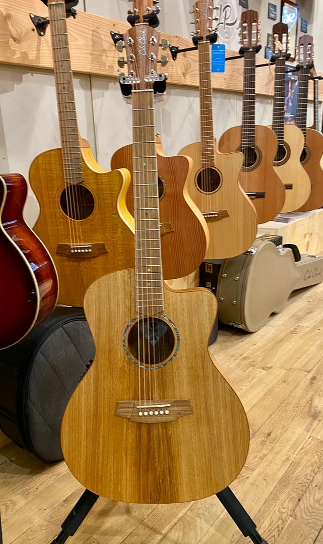 cole clark SAN1ec-blbl studio