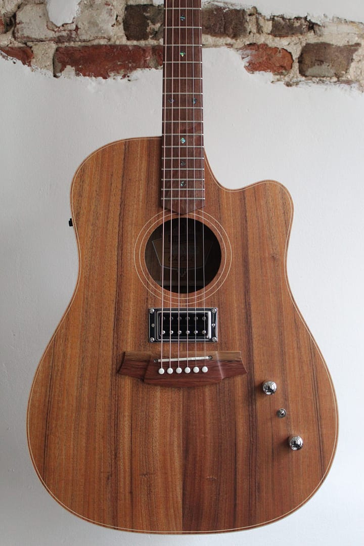 Cole Clark FL2EC-BLBL-HUM - Afbeelding 2