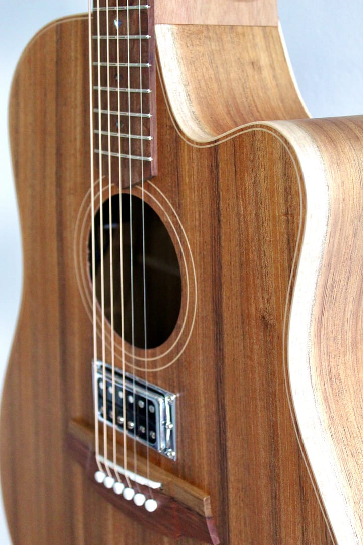 Cole Clark FL2EC-BLBL-HUM - Afbeelding 4