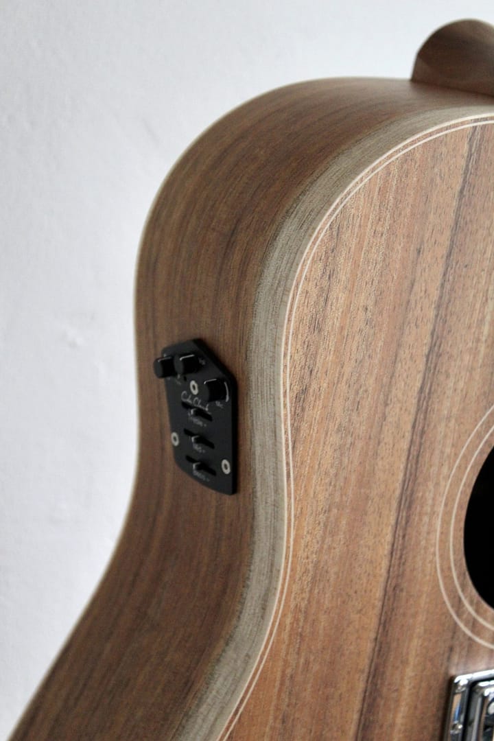 Cole Clark FL2EC-BLBL-HUM - Afbeelding 3