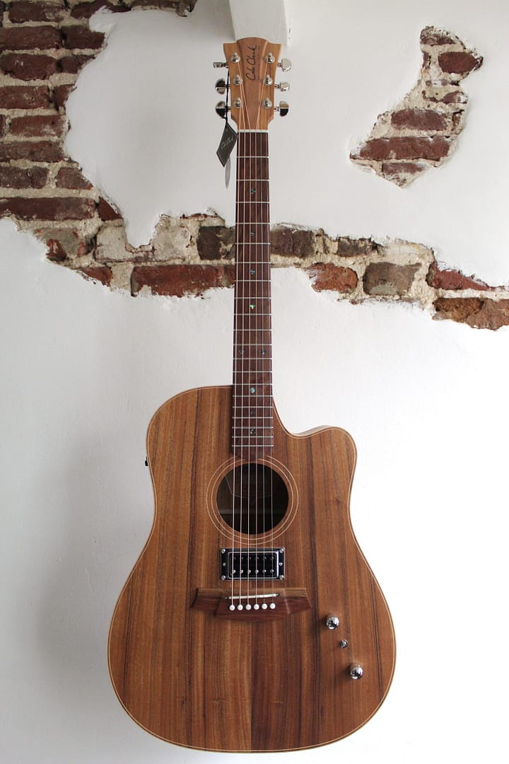 Cole Clark FL2EC-BLBL-HUM