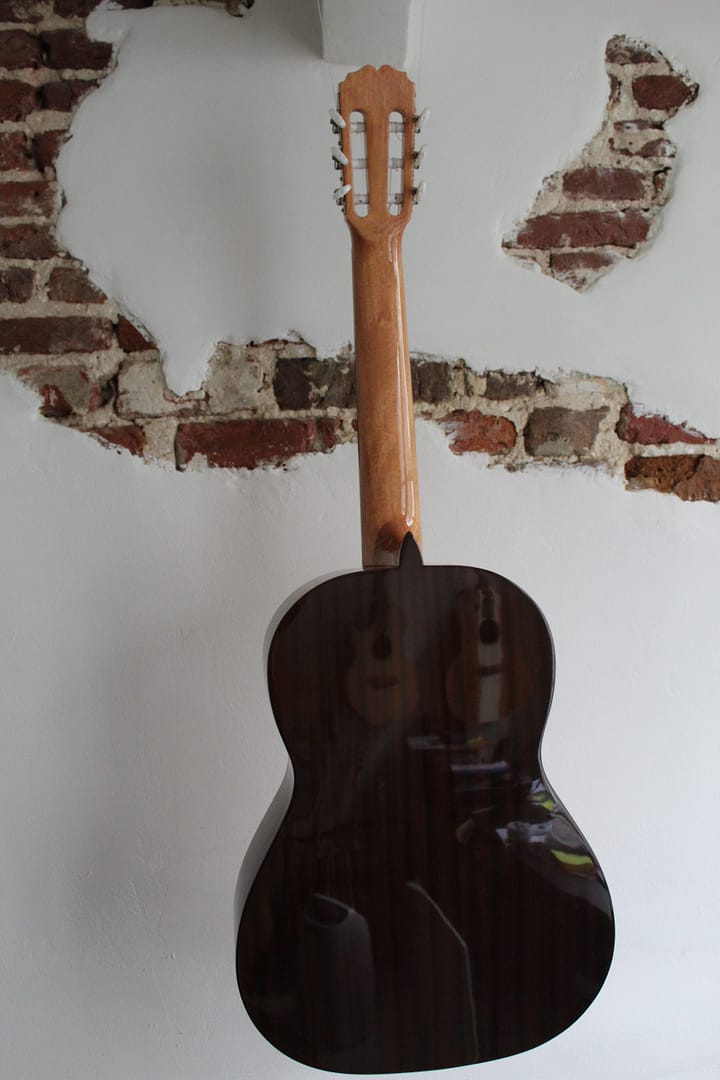 Ruben 500 SP hgl (by Esteve) - Afbeelding 4