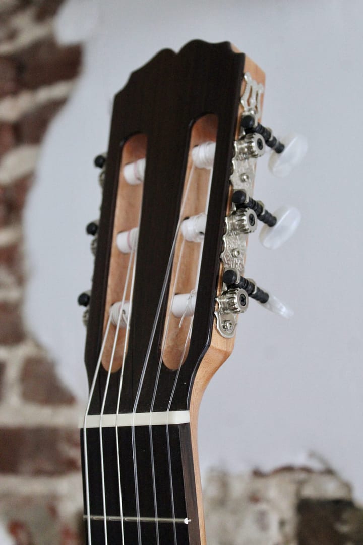 Ruben 500 SP hgl (by Esteve) - Afbeelding 3