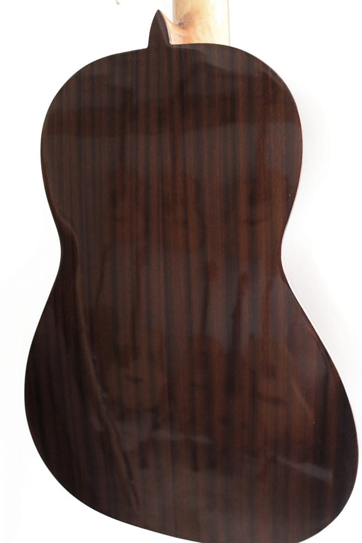 Ruben 500 SP hgl (by Esteve) - Afbeelding 5