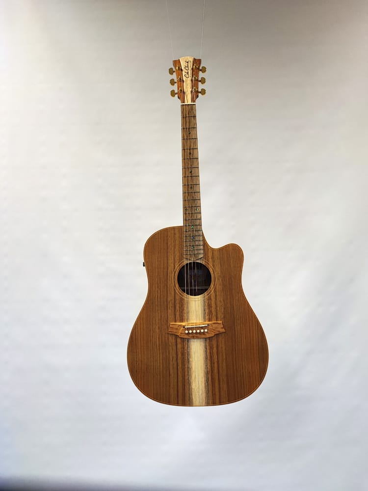 cole clark fl2ec blbl