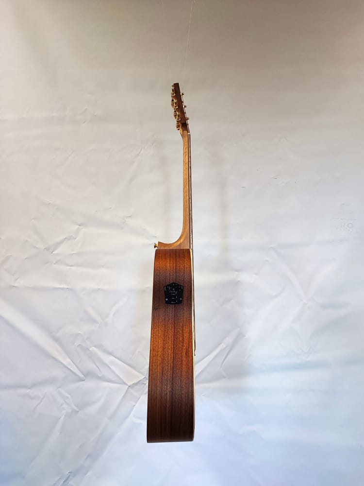 Cole Clark FL2EC-LS-BLBL-HUM - Afbeelding 3