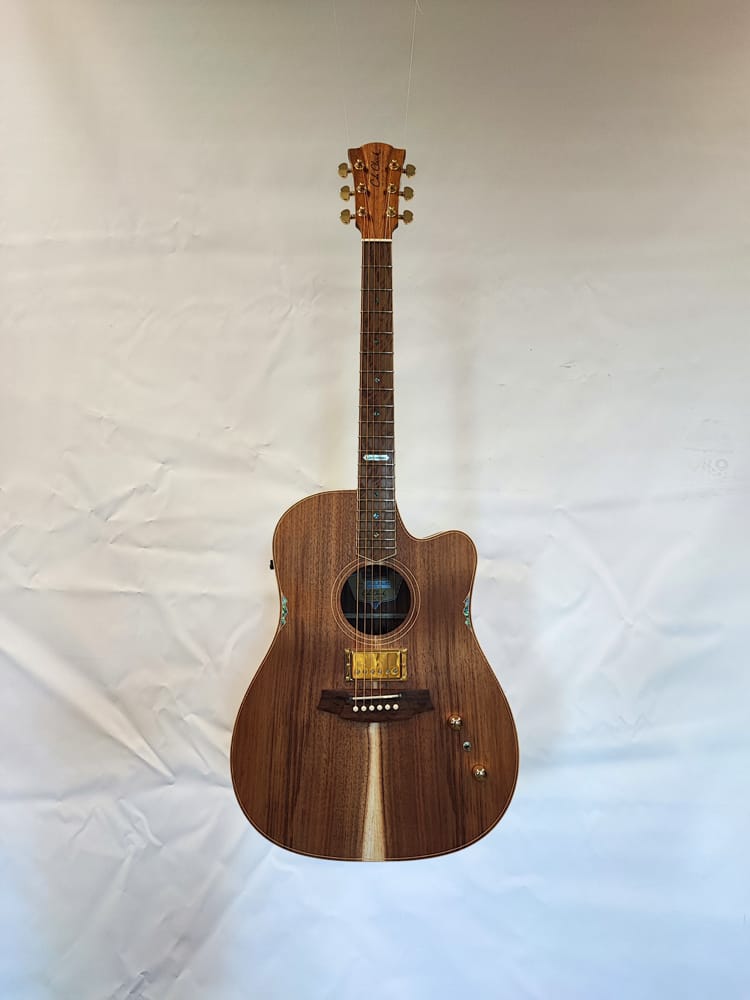 Cole Clark FL2EC-LS-BLBL-HUM