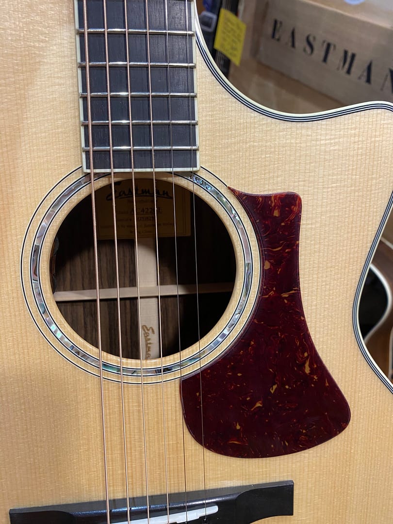 Eastman AC422CE - Afbeelding 6