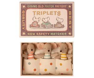 Triplets, baby mice in box