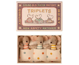 Triplets, baby mice in box