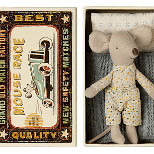 Little brother mouse in box