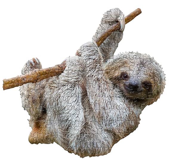 Sloth 100 2