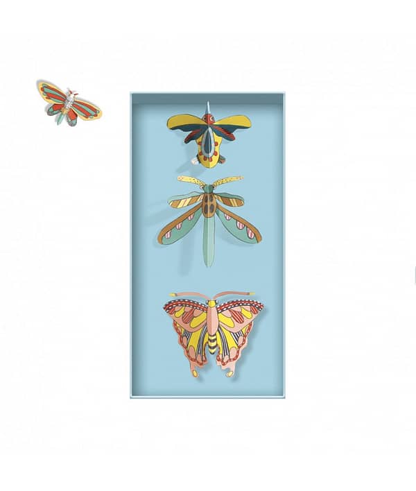 cabinet de curiosites 2