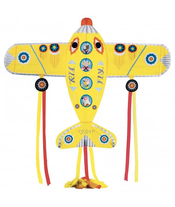 maxi plane