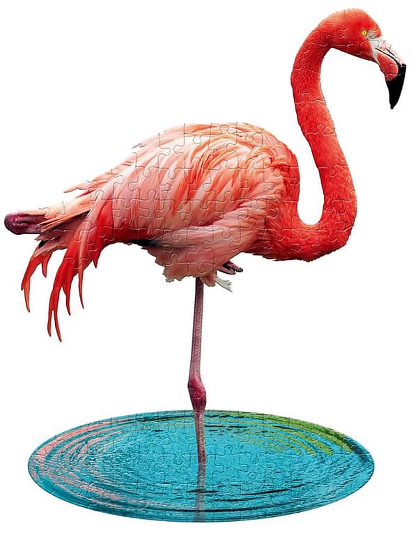 Flamingo 100 2