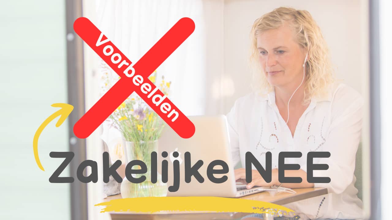 Zo zeg je NEE tegen klanten: En behoud je overzicht en regie!