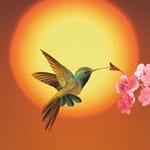 ayahuasca ceremonie nederland, heling via ayahuasca als therapeutisch middel