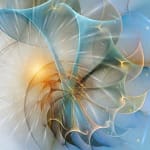 professioneel begeleide ayahuasca ceremonie nederland