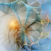 professioneel begeleide ayahuasca ceremonie nederland