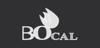 logo-bocal