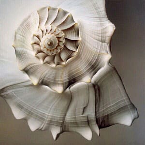 verwerkingstherapie leela