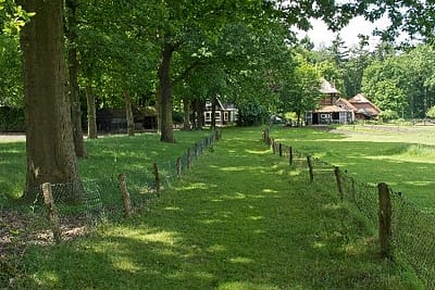 ayahuasca ceremonie gelderland