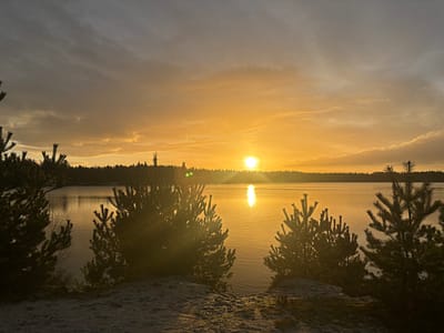 revermann procestherapie plant medicatie drenthe