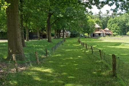 ayahuasca ceremonie gelderland