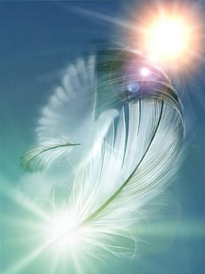 ayahuasca_nederland_revermann