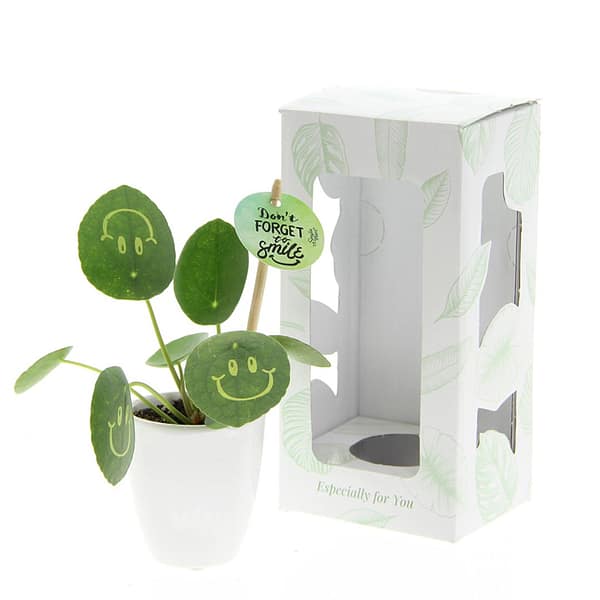 Gadget with logo Pancake plant S Gadget with logo pancake plant in white ceramic pot. MOQ 50 pieces. Depending on the surface we can use embroidery, engraving, 360° imprint or screen print.