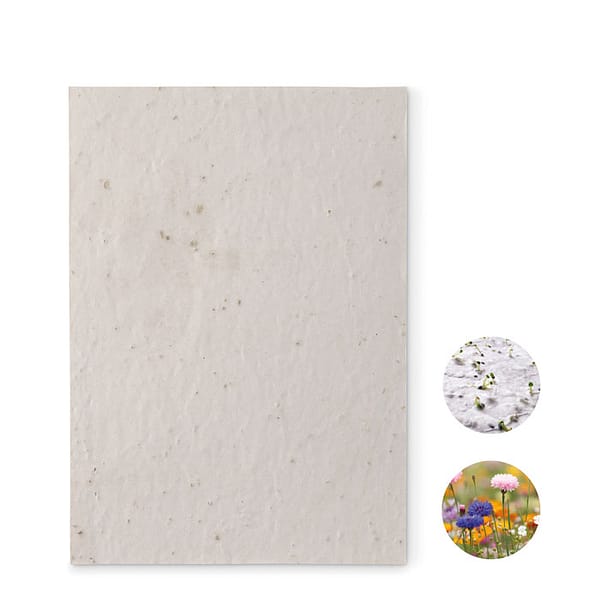 A5 wildflower seed paper sheet