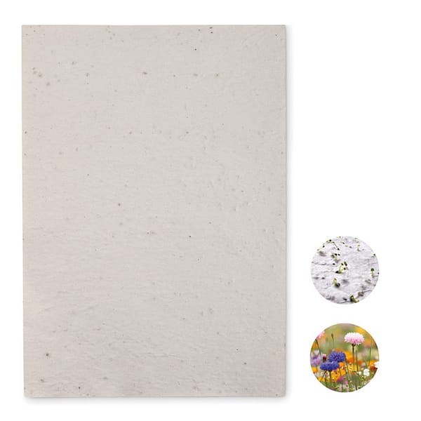 A4 wildflower seed paper sheet