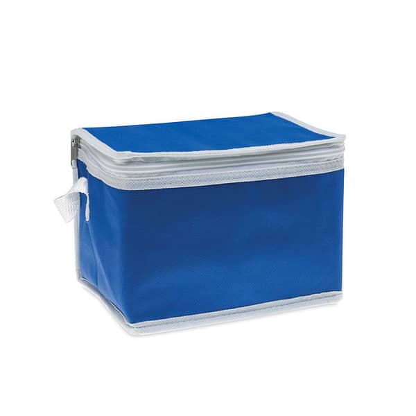 Nonwoven 6 can cooler bag
