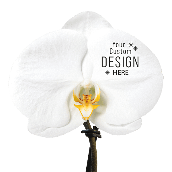 Gadget with logo Orchid Gadget with logo single-flowered luxurious orchid. Give a truly valuable gift with this unique orchid that will certainly not end up in the bin. This exceptional flower can be perfectly personalized with your logo or design on the flower. Comes with personalized FSC-certified gift box with a back card or leave a message by attaching a separate card. Depending on the surface we can use embroidery, engraving, 360° imprint or screen print.